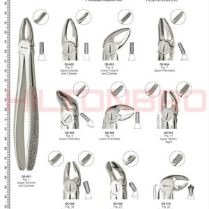 Dental Extracting Forceps