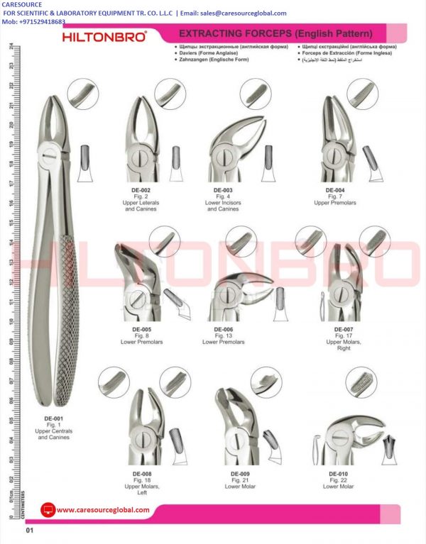 Dental Extracting Forceps