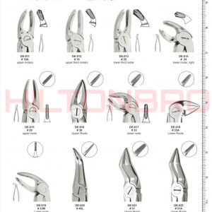 Dental Extracting Forceps