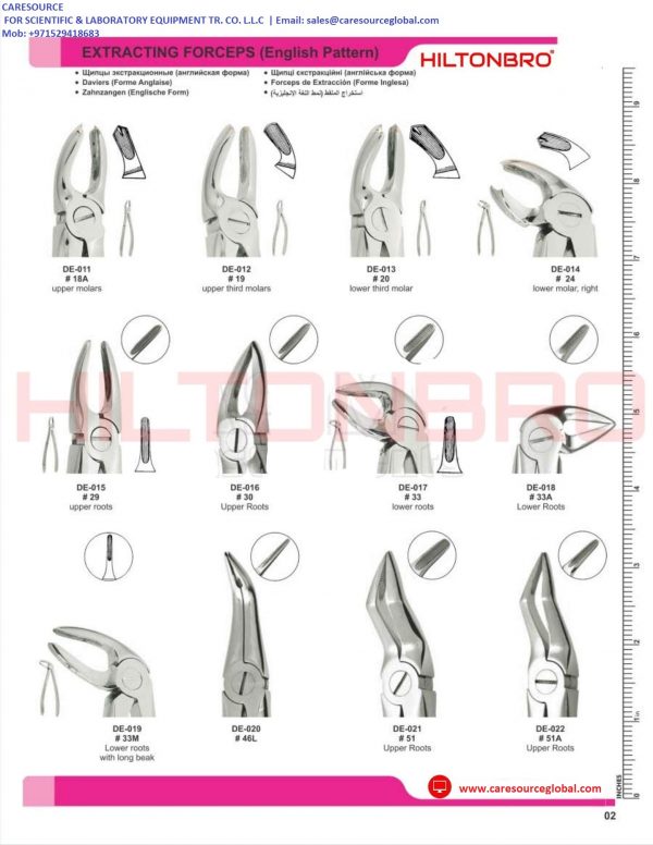 Dental Extracting Forceps