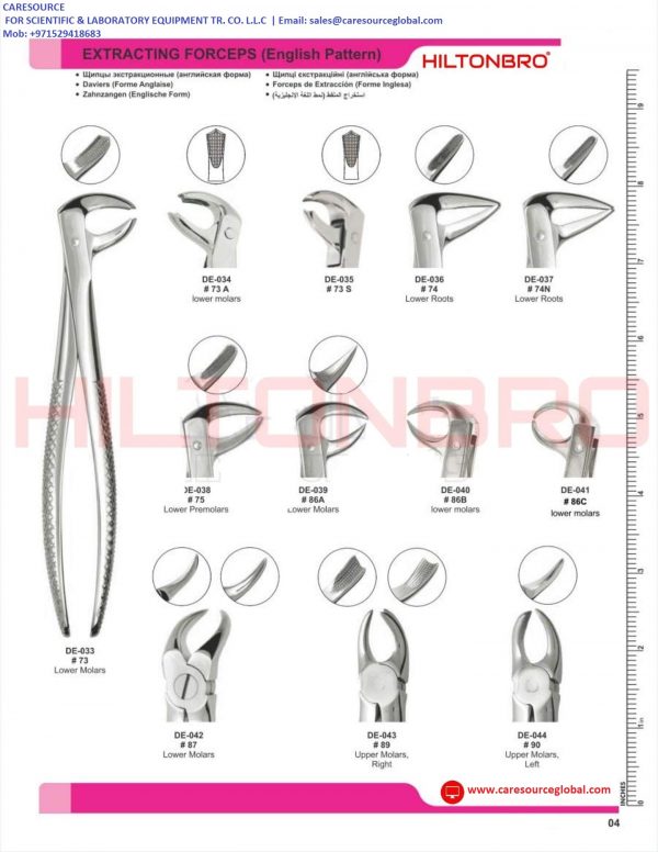 Dental Extracting Forceps