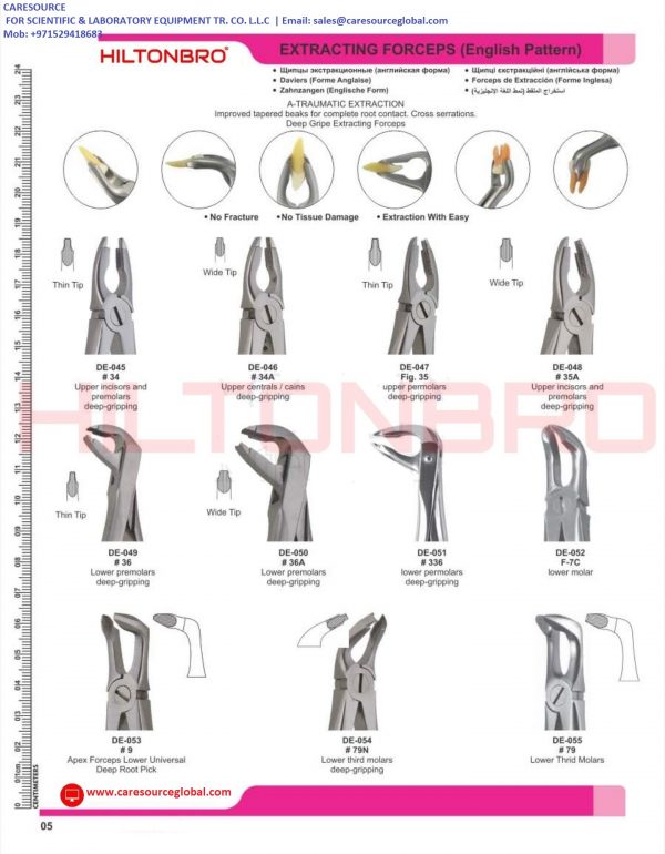 Dental Extracting Forceps