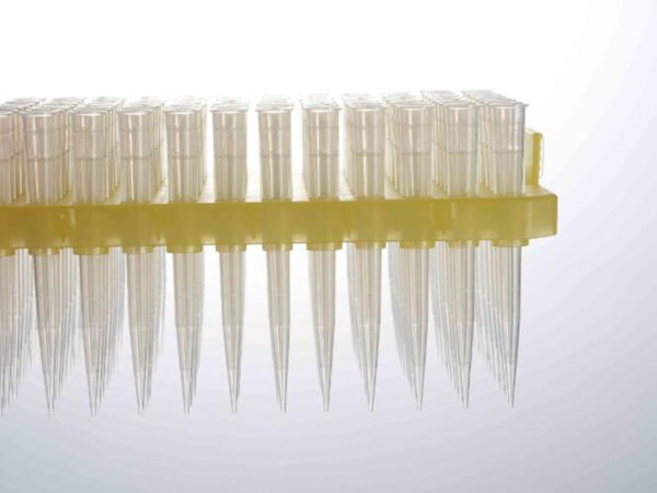 Pipette Micro Tips